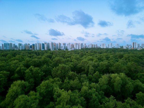 Explorez les Horizons Enrichissants des Médecins dans le Secteur Privé : Une Aventure Professionnelle à Ne Pas Manquer !